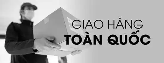 Giao sản phẩm GPU NVIDIA L40S 48GB – card PCIe đa dụng cho suy luận và đồ hoạ toàn quốc