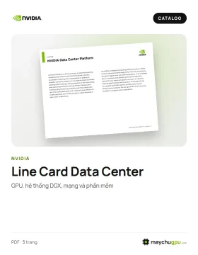 NVIDIA – Line Card nền tảng Data Center (GPU, DGX, mạng)