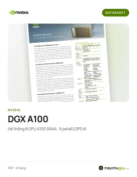 Datasheet NVIDIA DGX A100